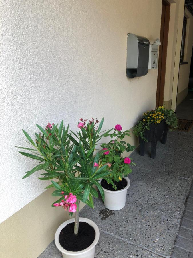 Ferienwohnung am Gässle Ettenheim Exterior foto